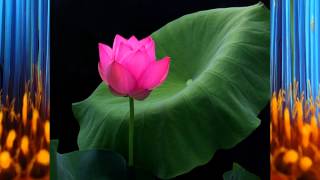 Watch Charlotte Church The Flower Duet video
