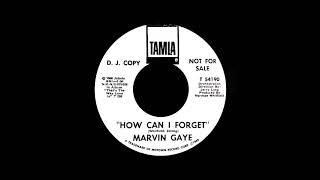 Watch Marvin Gaye How Can I Forget video
