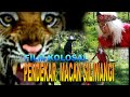 PENDEKAR MACAN SILIWANGI /FILM BARRY PRIMA /FILM KOLOSAL /FILM JADUL /FILM PENDEK