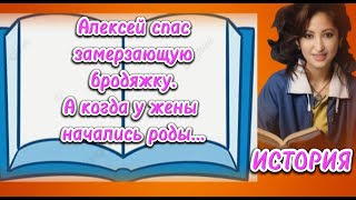 Алексей Спас Замерзающую Бродяжку. А Когда У Жены Начались Роды…