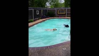 Oops- Pool Fail And Fun