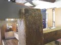 woodworm