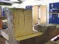 woodworm