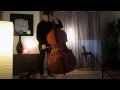 Vikings cover (Fever Ray-If I had a heart) - JB Salles double bass cover