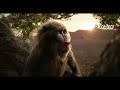 The Lion King - Clip "Timon & Pumba rescatan a Simba" Español El rey león