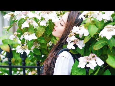 it's you 铃声(当你沉睡时) it's you 铃声(当你沉睡时) #1