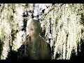 Einar Stray - Chiaroscuro