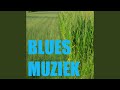 Mississippidelta Muziek