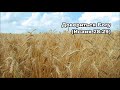 Тихое время с Живой Жизнью: Исаия 28:23–29 (27092017) Тихое время с Живой Жизнью: Исаия 28:23–29 (27092017)