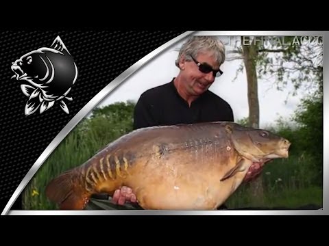 english record carp