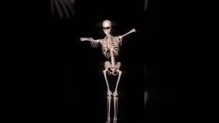 İşte O Dans Eden Ünlü İskelet Soft Vi̇deolar