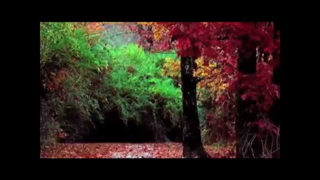 Léo Ferré - Avec Le Temps Léo Ferré - Avec Le Temps