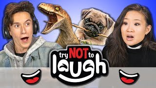 Try to Watch This Without Laughing or Grinning #71 (REACT) Try to Watch This Without Laughing or Grinning #71 (REACT)