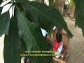 Eumpang Breuh Edisi Spesial Perdamaian Aceh Rum Eh images Eumpang Breuh Edisi Spesial Perdamaian Aceh Rum Eh