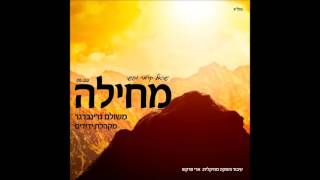 משולם גרינברגר וידידים - מחילה