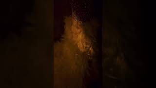 Warina Hussain Hot Vertical.....warina Hussain Hot Look