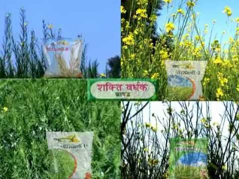 SHAKTIVARDHAK PARASMANI - Ad Movie ( 1 Minute ) for a Mustard...