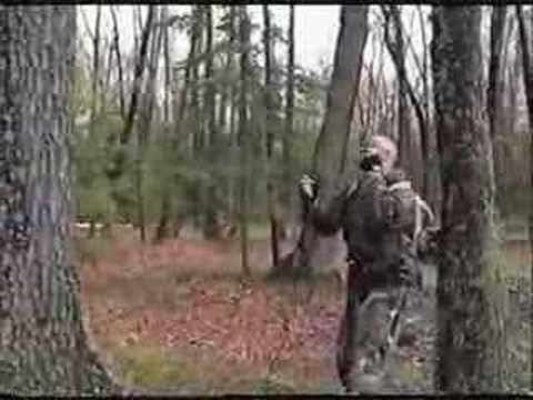 Predator Wars