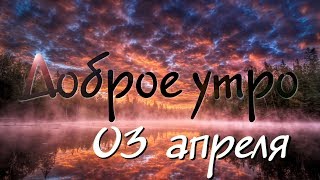 Доброе Утро - Выпуск 128 (03.04.2019)