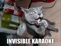 Cats and Dogs