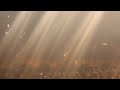 MAGO DE OZ Y SOBER LIVE MEXICO DF Y SERAS CANCION MONUMENTAL PLAZA DE TOROS MEXICO 20-ABRIL-13