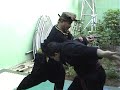 image Silat Harimau In Indonesia And Austria