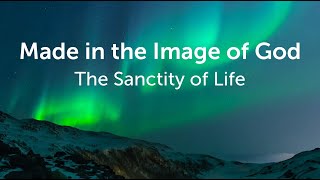 Made in the Image of God
