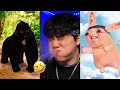 BEST JeffreyX Funny Try Not To Laugh Challenge Compilation 🤣 2024 Part 10