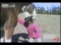 HORSE BITES GIRL'S HEAD!!