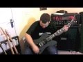 Harwood's 'Warbird' by Warman Guitars Harwood's 'Warbird' by Warman Guitars