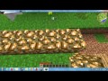 วิธีทำประตูสวรรค์minecraft1.7