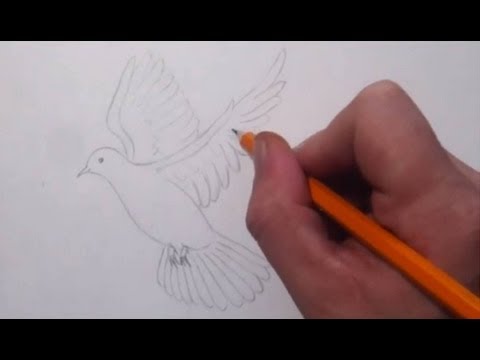 Как рисуют птичек видео Как рисуют птичек видео