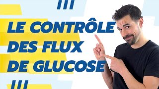Cours De Terminale Spécialité Svt Chap.18 Le Contrôle Des Flux De Glucose -Bio Logique-