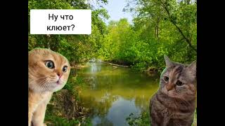 Мем Два Кота Разговаривают #Мем #Коты