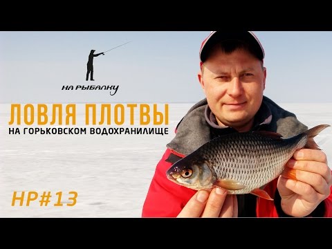ловля плотвы на горьковском водохранилище видео ловля плотвы на горьковском водохранилище видео