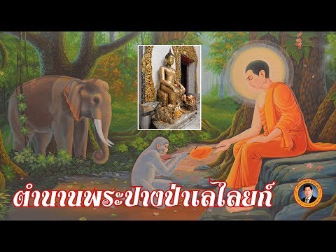 เรื่องเล่าวันนี้ : ตำนานพระปางป่าเลไลยก์