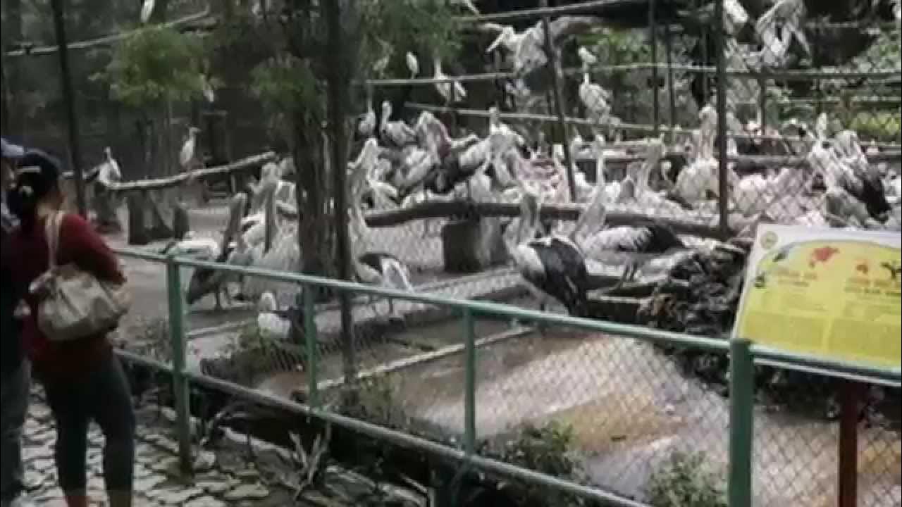 Зоопарки в бангкоке