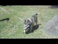 Daisy S Movie For Sibes Com images Daisy S Movie For Sibes Com