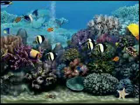 Living Marine Aquarium - YouTube