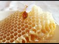 Cómo limpiar y utilizar cera virgen pura para cremas y jabones naturales.