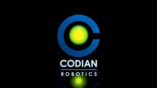Codian Robotics Delta Robots For Beverages