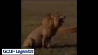 Funny clip