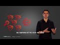 3 técnicas para triplicar tus ventas - Cris Urzua