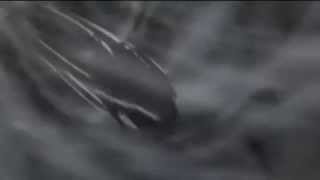 Amv Last Exile   Louder Than Words