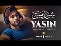 Surah Yasin (Yaseen) سورة يس | Relaxing Heart touching recitation | Best VOICE | Zikrullah Tv