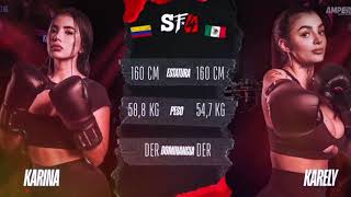 Karely Ruiz Vs Karina Garcia Stream Fighters 4 Pelea Completa