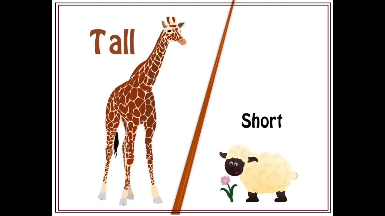 Small vs tall pictures