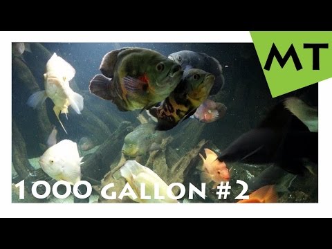 1000 Gallon 4000 Liter Private Monster Fish Tank - Germany