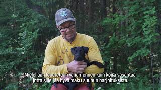 Koira Pintapyyntiin - Monet Eri Rodut Sopivia