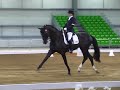 2012 North Island Dressage Champs MFS.mpg